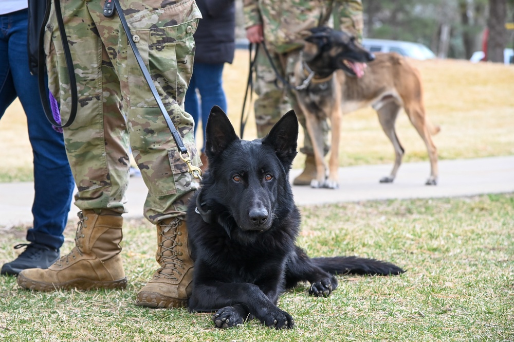 75th SFS MWD handlers honor war dog heroes