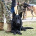 75th SFS MWD handlers honor war dog heroes