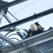 Bald eagle rescued at NAS Key West