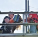 Bald eagle rescued at NAS Key West