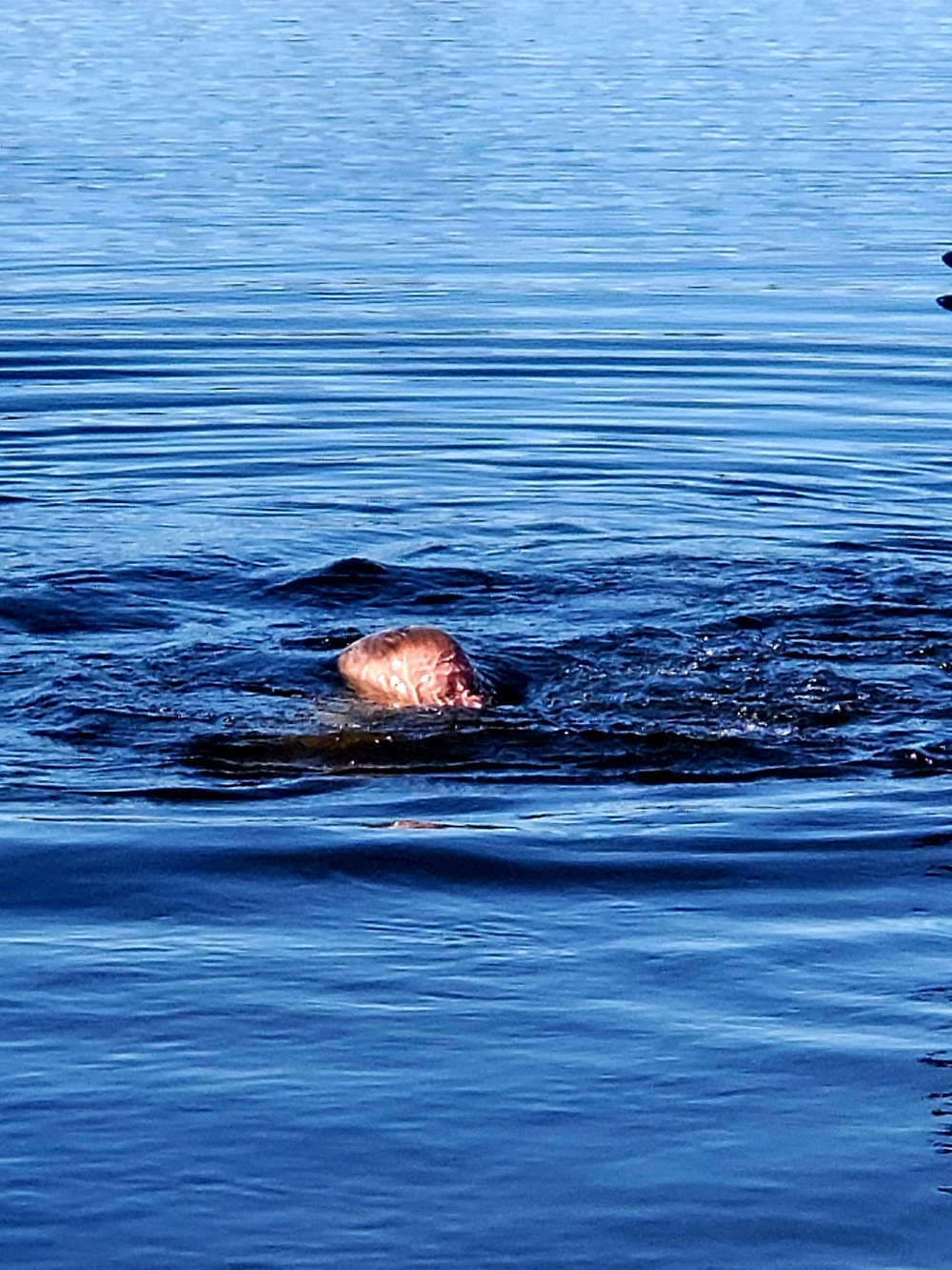 Cold-water immersion training for CWOC at Fort McCoy