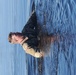 Cold-water immersion training for CWOC at Fort McCoy