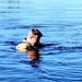 Cold-water immersion training for CWOC at Fort McCoy