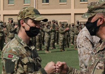 Camp Arifjan deployed Soldiers earn Norwegian Foot March badge under desert sun