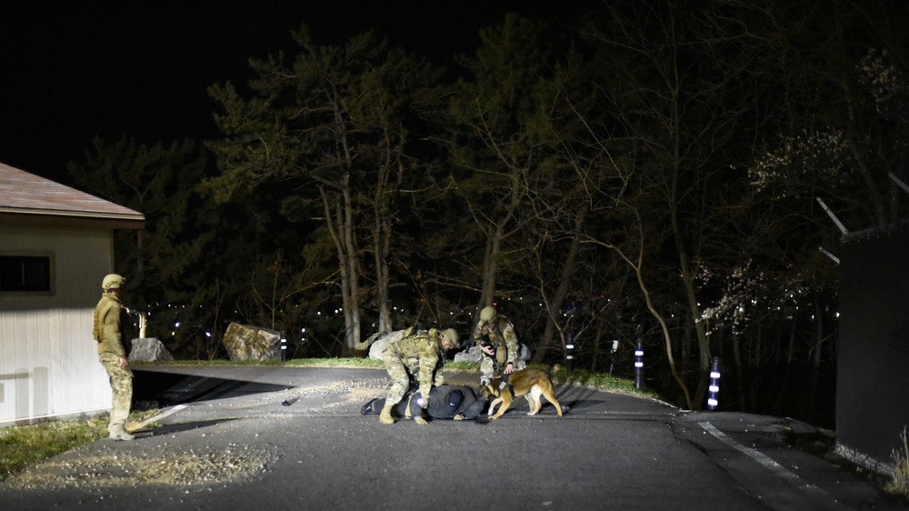 Security Forces conduct routine training to defend Wolf Pack