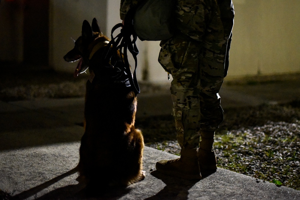 DVIDS - Images - Security Forces conduct routine training to defend ...