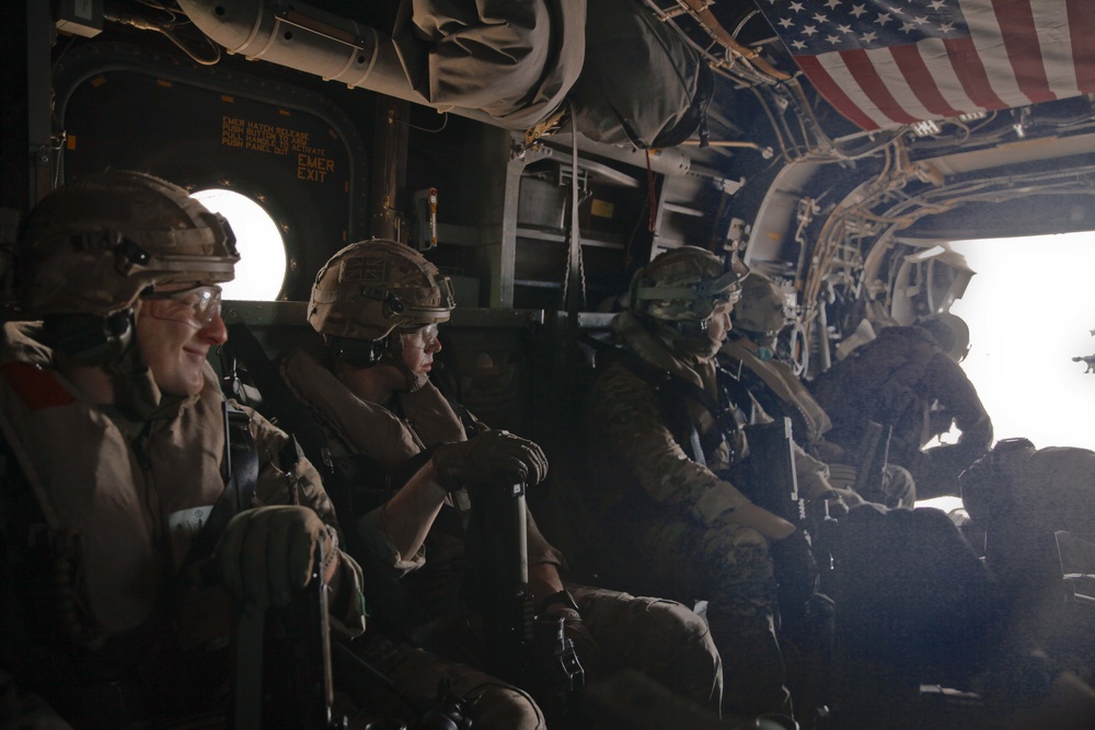 Royal Marines Participate in a TRAP Mission
