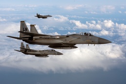 48th FW ACEs Baltic Trident