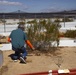 Desert tortoise Sanctuary Hatching success