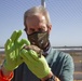 Desert tortoise Sanctuary Hatching success