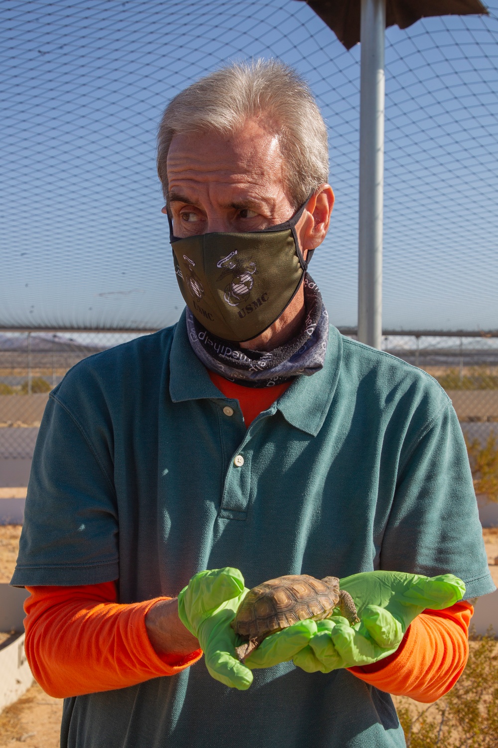 Desert tortoise Sanctuary Hatching success