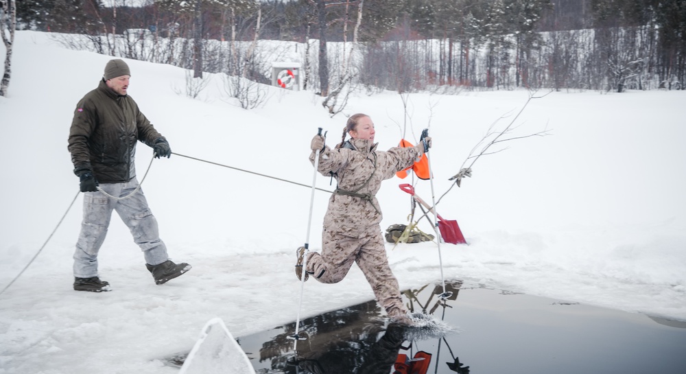 Polar Plunge