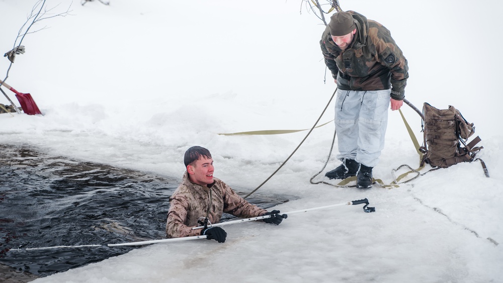 Polar Plunge