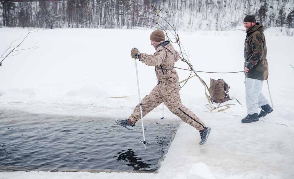 Polar Plunge