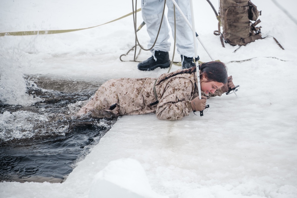 Polar Plunge