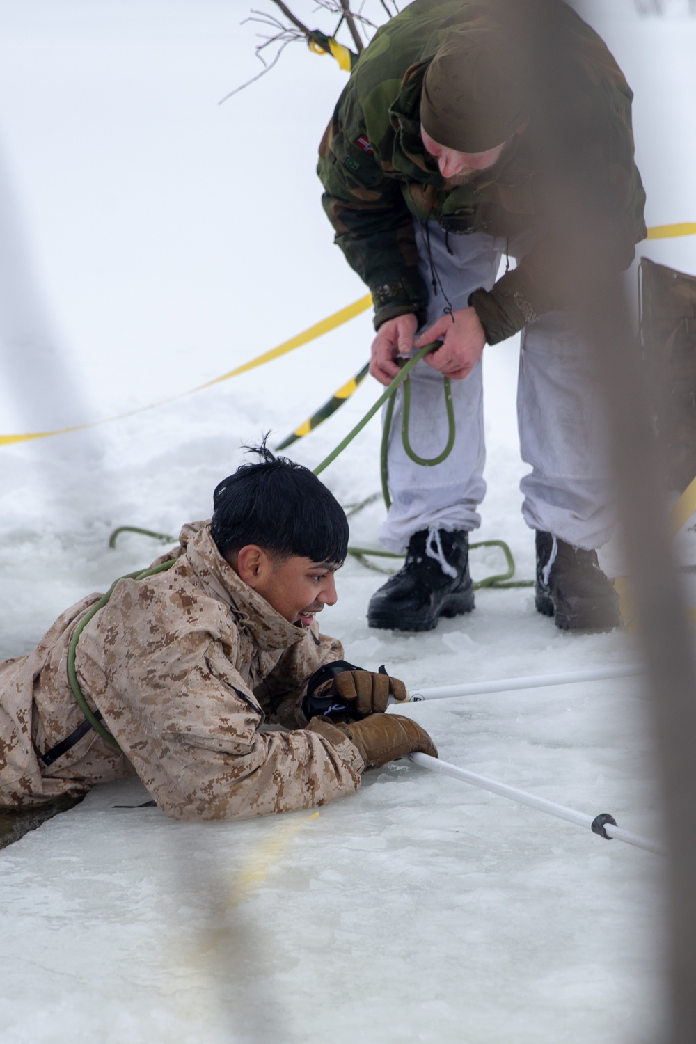 Polar Plunge