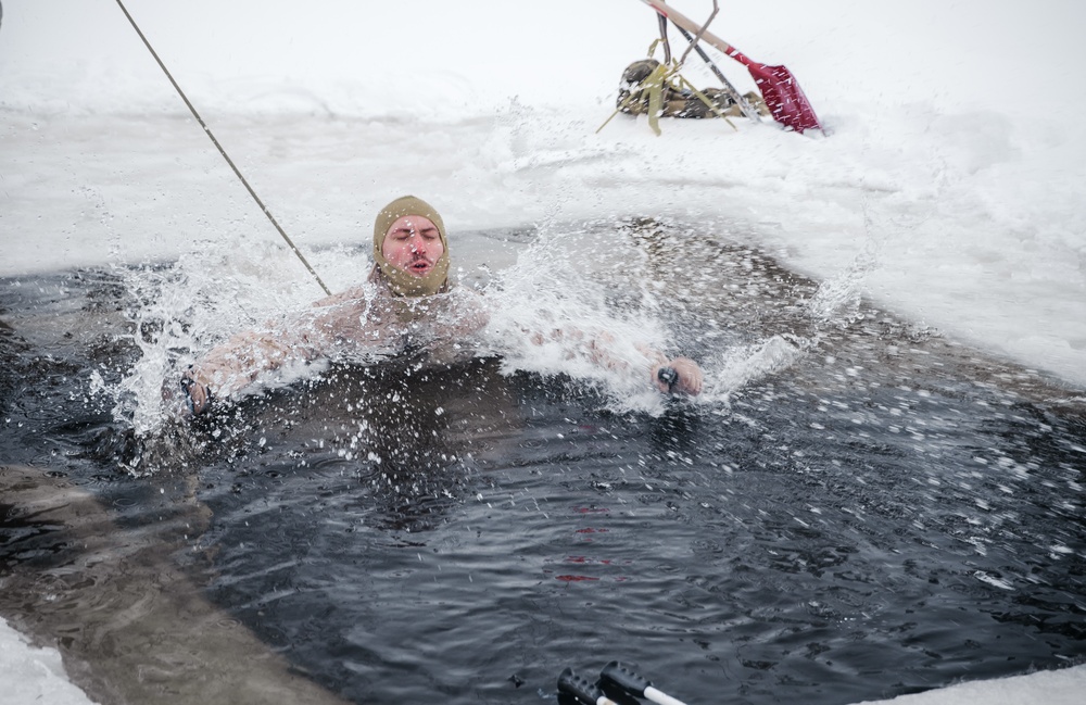 Polar Plunge