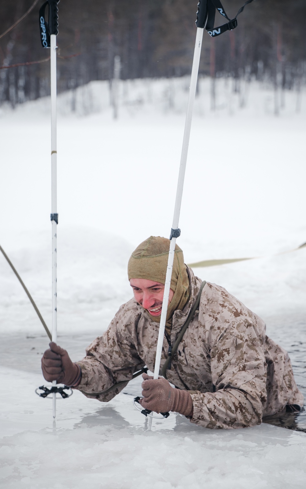 Polar Plunge