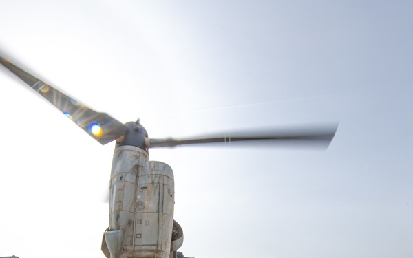 Peterson supports Marine Corps exercise