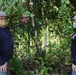 MCB Camp Blaz and the University of Guam Partner to Enhance Forests and Remove Invasive Species