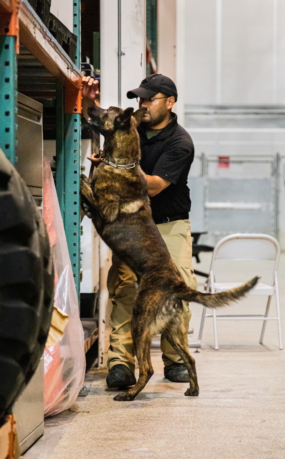 Border patrol clearance k9 unit