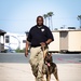 U.S. Customs and Border Protection Patrol K-9 Agents conduct narcotics detection training hosted by Maritime Expeditionary Security Group (MESG) 1 Training Evaluation Unit.