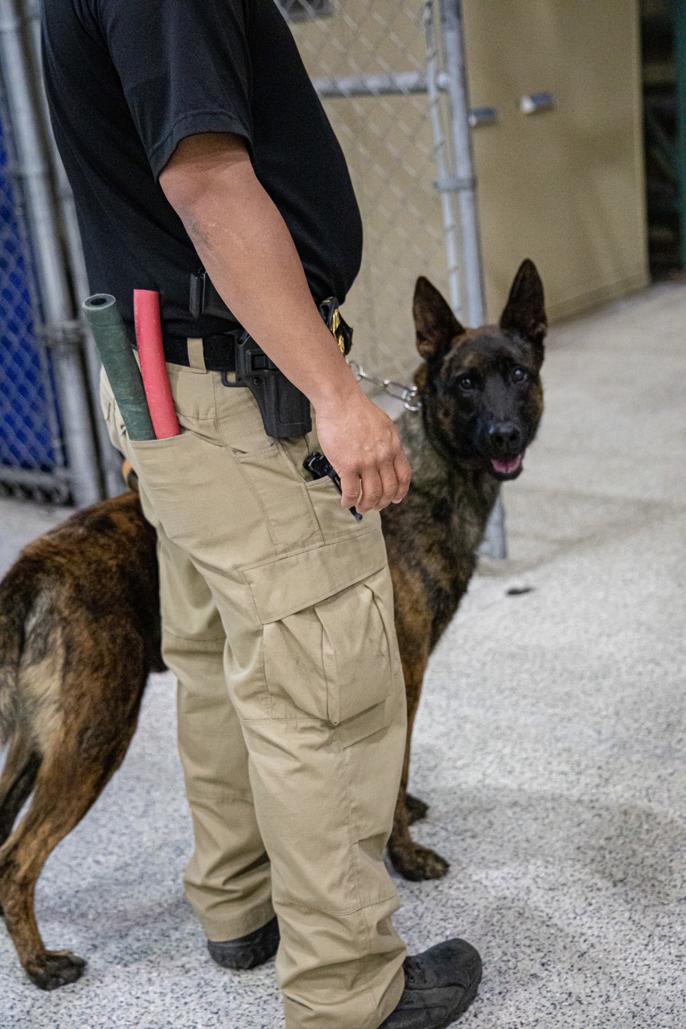 U.S. Customs and Border Protection Patrol K-9 Agents conduct narcotics detection training hosted by Maritime Expeditionary Security Group (MESG) 1 Training Evaluation Unit.