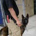 U.S. Customs and Border Protection Patrol K-9 Agents conduct narcotics detection training hosted by Maritime Expeditionary Security Group (MESG) 1 Training Evaluation Unit.