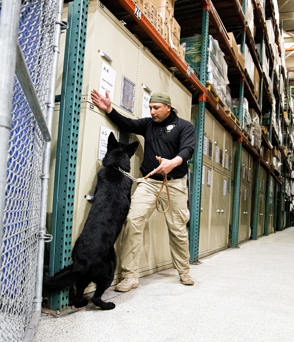 U.S. Customs and Border Protection Patrol K-9 Agents conduct narcotics detection training hosted by Maritime Expeditionary Security Group (MESG) 1 Training Evaluation Unit.