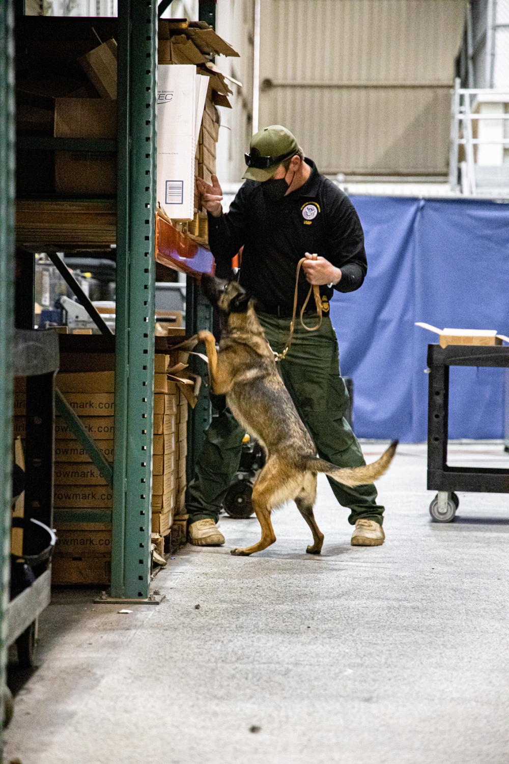 U.S. Customs and Border Protection Patrol K-9 Agents conduct narcotics detection training hosted by Maritime Expeditionary Security Group (MESG) 1 Training Evaluation Unit.