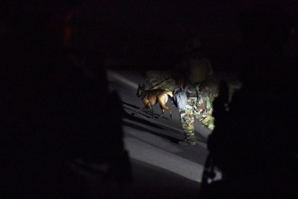 Defenders protect Wolf Pack
