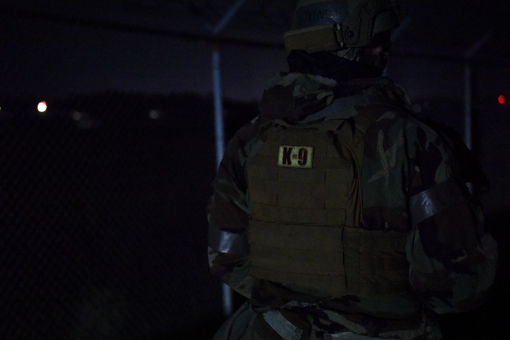 Defenders protect Wolf Pack
