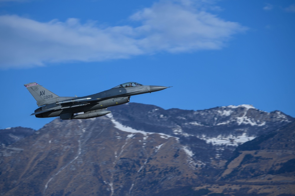 Buzzards soar over Aviano AB