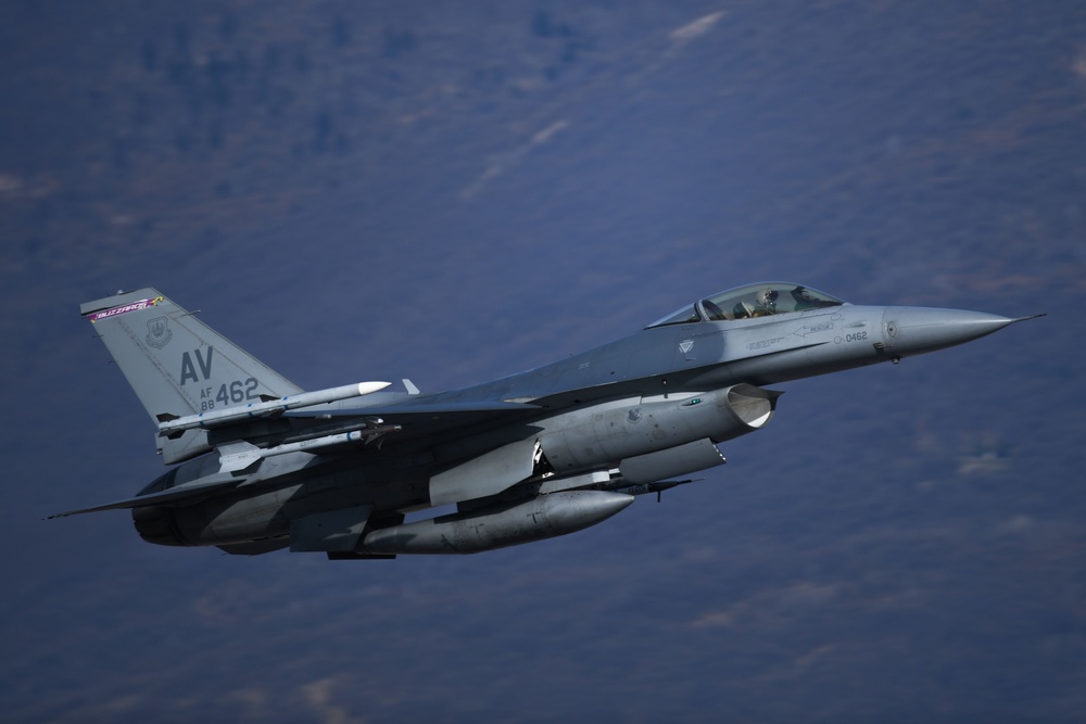 Buzzards soar over Aviano AB