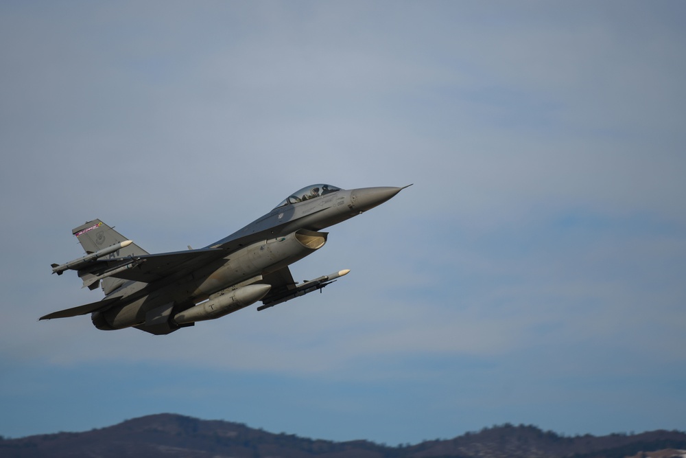 Buzzards soar over Aviano AB