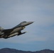 Buzzards soar over Aviano AB
