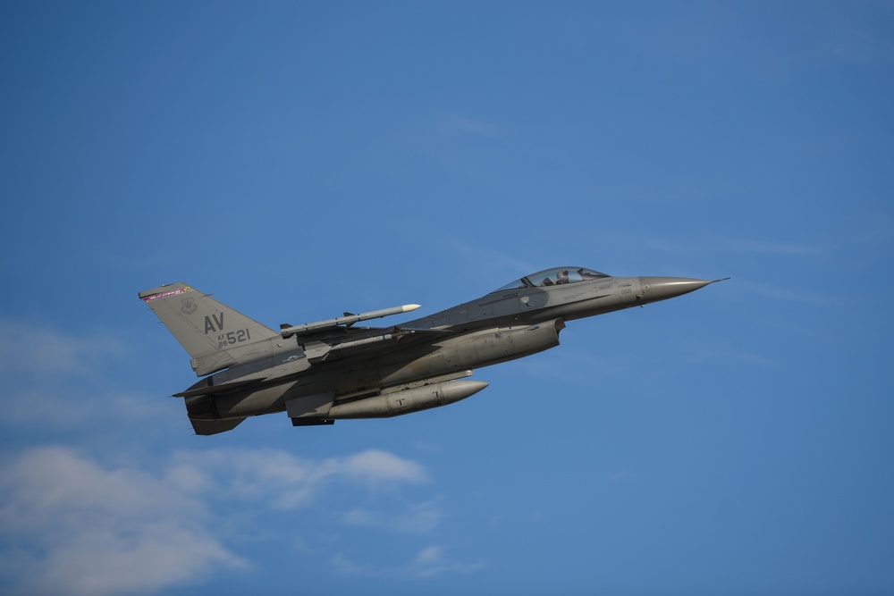Buzzards soar over Aviano AB
