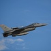 Buzzards soar over Aviano AB