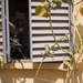 U.S. Africa Command forces conduct assessment in Timbuktu, Mali