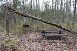 J. Percy Priest Lake public-private partnership being evaluated to improve outdoor recreation