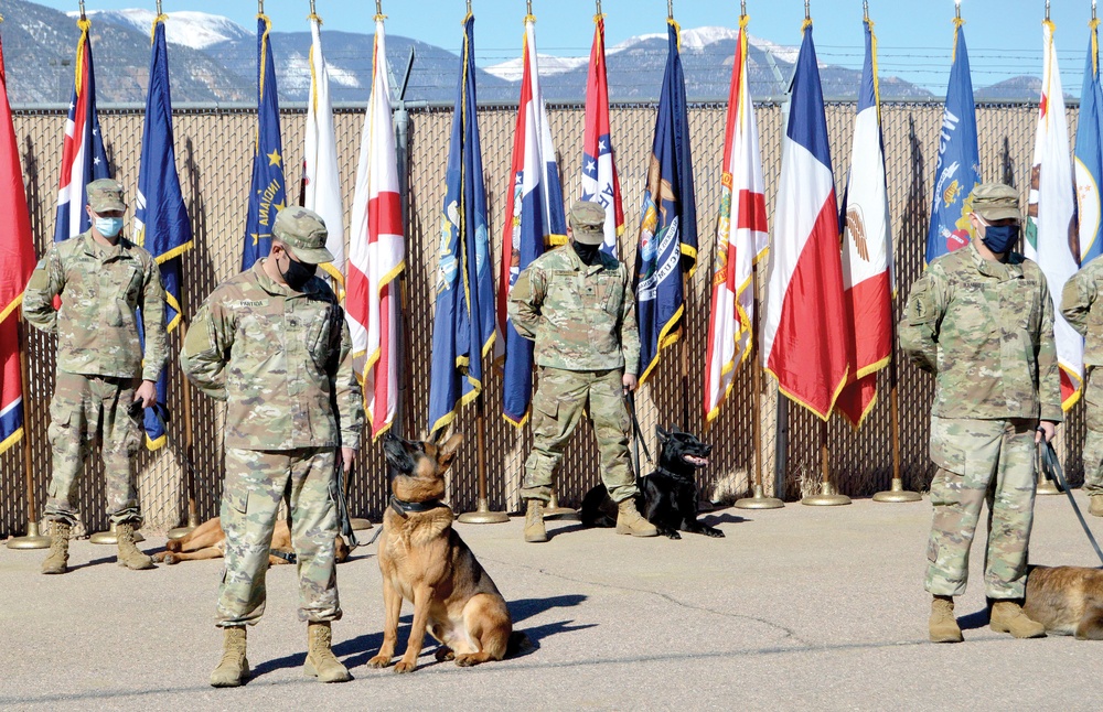 MP working dog unit named best in FORSCOM