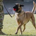 Military Working Dog (MWD) trained in the Vicinity of Gunfire