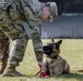 Military Working Dog (MWD) trained in the Vicinity of Gunfire