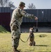 Military Working Dog (MWD) trained in the Vicinity of Gunfire