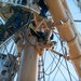 USS Constitution Sailors go underway with USCGS Eagle