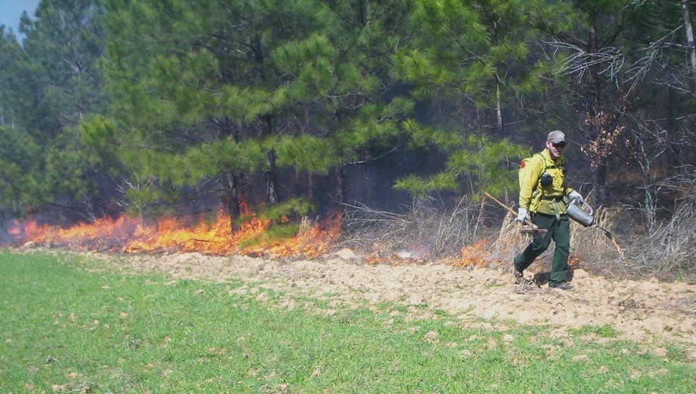 Prescribed burns of forest debris, halted during pandemic, back on with much work ahead