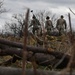 TSOC field exercise: training curriculum in simulated real-life scenarios