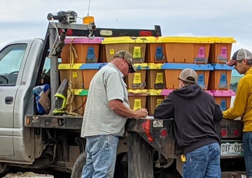 Beekeeping at Trinidad Lake and Dam