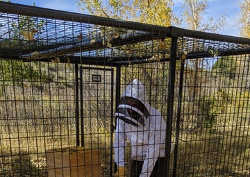 Beekeeping at Trinidad Lake and Dam