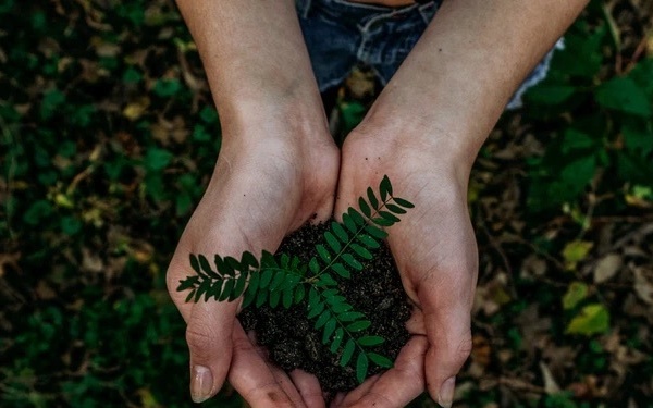 Earth Hour and Arbor Day in Times of COVID-19